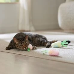 Frisco Easter Carrot Plush Cat Toy With Catnip 8 Frisco Easter Carrot Plush Cat Toy With Catnip -Frisco 550470 PT4. AC SS1800 V1702500564