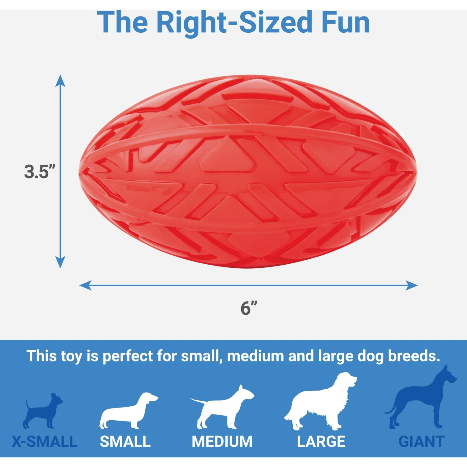 Frisco Dumbbell TPR Fetch Dog Toy + 3 Items 7 Frisco Dumbbell TPR Fetch Dog Toy + 3 Items - Image 5