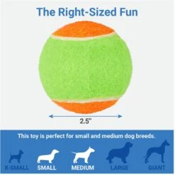 Frisco Dumbbell TPR Fetch Dog Toy + 3 Items 16 Frisco Dumbbell TPR Fetch Dog Toy + 3 Items -Frisco 582446 PT6. AC SS1800 V1658238980