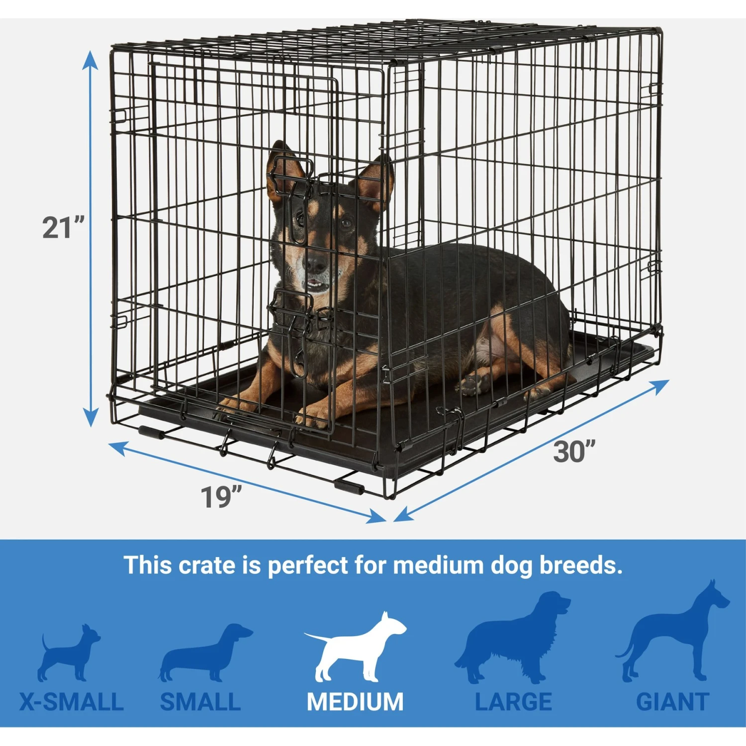 Frisco Fold & Carry Single Door Collapsible Wire Dog Crate + 4 Items 5 Frisco Fold & Carry Single Door Collapsible Wire Dog Crate + 4 Items - Image 3