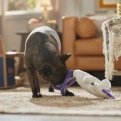 Frisco Halloween Bunny Ghost Plush Squeaky Dog Toy 10 Frisco Halloween Bunny Ghost Plush Squeaky Dog Toy -Frisco 667878 PT3. AC SS1800 V1689340856