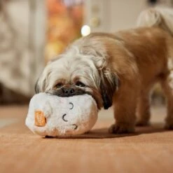 Frisco Halloween Trick Or Treat Ghost Plush Squeaky Dog Toy 10 Frisco Halloween Trick Or Treat Ghost Plush Squeaky Dog Toy -Frisco 667974 PT3. AC SS1800 V1689350978