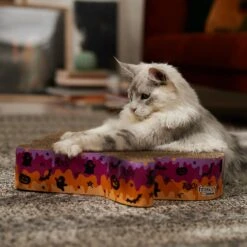 Frisco Halloween Ghost Swirl Scratcher Cat Toy With Catnip 8 Frisco Halloween Ghost Swirl Scratcher Cat Toy With Catnip -Frisco 668230 PT3. AC SS1800 V1689343997