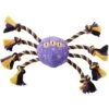 Frisco Halloween Magical Spider Plush With Rope Squeaky Dog Toy 1 Frisco Halloween Magical Spider Plush With Rope Squeaky Dog Toy -Frisco 668310 MAIN. AC SS1800 V1689350982