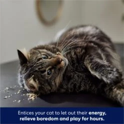 Frisco Natural Catnip & Hartz Cattraction Silver Vine & Catnip Gator Cat Scratcher Toy, Color Varies 15 Frisco Natural Catnip & Hartz Cattraction Silver Vine & Catnip Gator Cat Scratcher Toy, Color Varies -Frisco 737470 PT4. AC SS1800 V1683212147