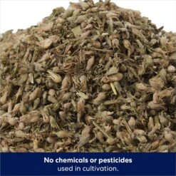 Frisco Natural Catnip & Hartz Just For Cats Mini Mice Cat Toy With Catnip, 5 Count 14 Frisco Natural Catnip & Hartz Just For Cats Mini Mice Cat Toy With Catnip, 5 Count -Frisco 737478 PT3. AC SS1800 V1683212198