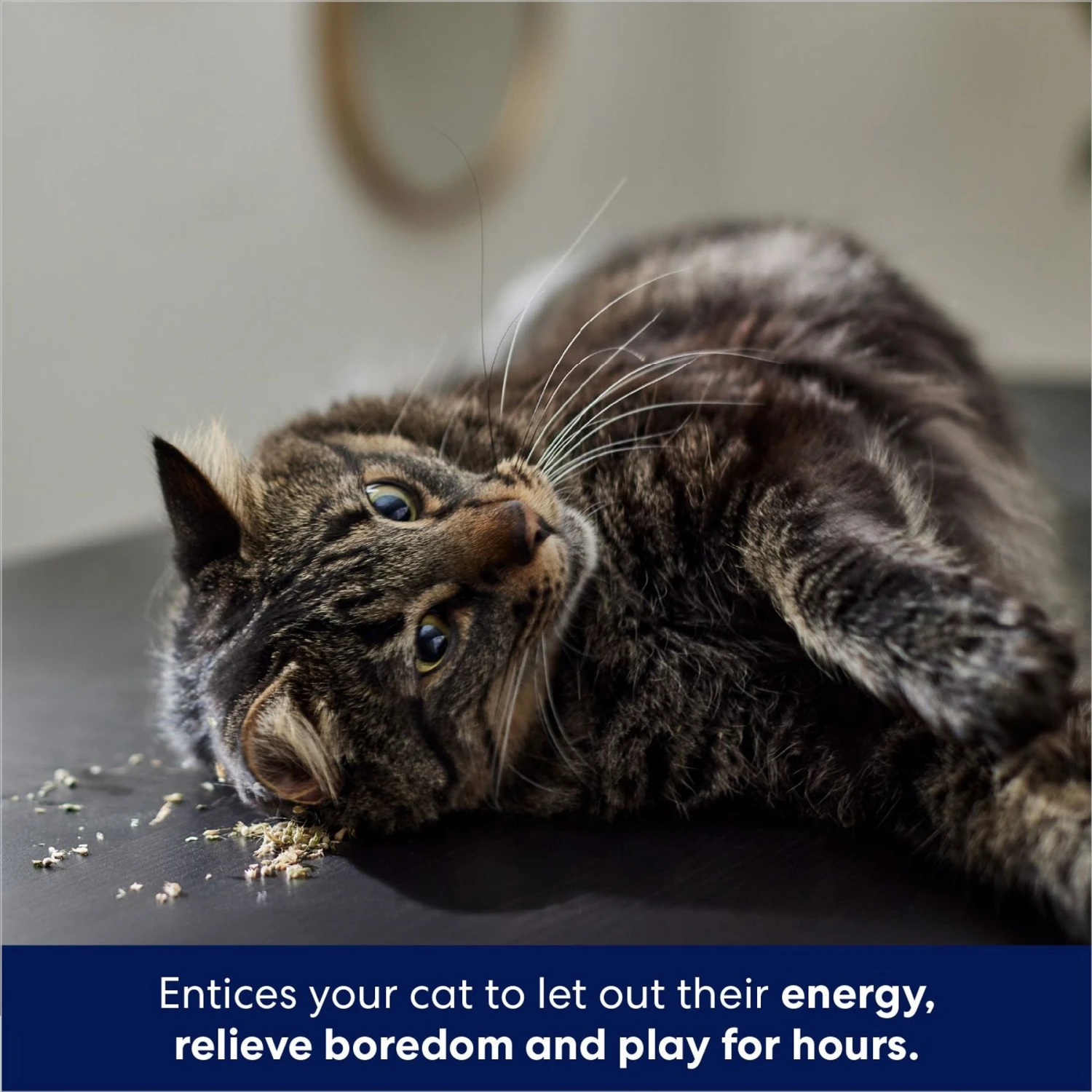 Frisco Natural Catnip & Hartz Just For Cats Mini Mice Cat Toy With Catnip, 5 Count 7 Frisco Natural Catnip & Hartz Just For Cats Mini Mice Cat Toy With Catnip, 5 Count - Image 5