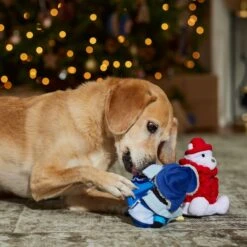 Frisco Holiday Arctic Buddies 2-in-1 Rip For Surprise Plush & Rubber Dog Toy 11 Frisco Holiday Arctic Buddies 2-in-1 Rip For Surprise Plush & Rubber Dog Toy -Frisco 739718 PT3. AC SS1800 V1694812848