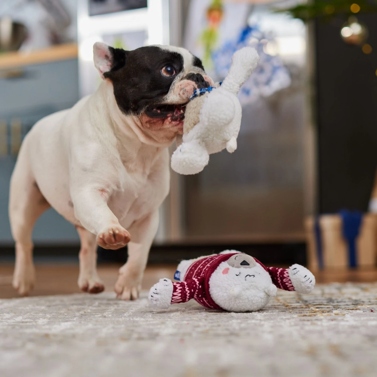 Frisco Holiday Polar Bear Friends Plush Squeaky Dog Toy 5 Frisco Holiday Polar Bear Friends Plush Squeaky Dog Toy - Image 3