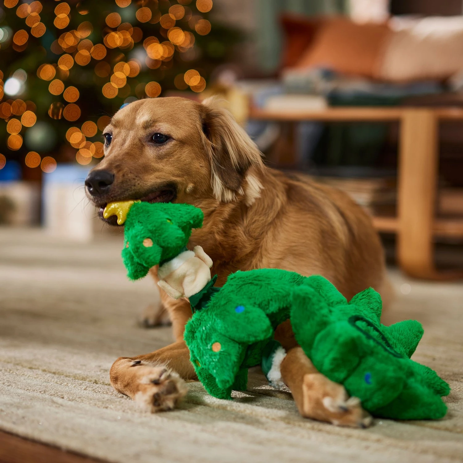 Frisco Holiday Elf In A Tree Bungee Plush Squeaky Dog Toy 6 Frisco Holiday Elf In A Tree Bungee Plush Squeaky Dog Toy - Image 4