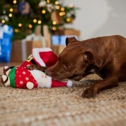 Frisco Holiday Santa On Vacation 2-in-1 Plush Squeaky Dog Toy 11 Frisco Holiday Santa On Vacation 2-in-1 Plush Squeaky Dog Toy -Frisco 739894 PT3. AC SS1800 V1695045718