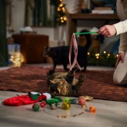 Frisco Holiday Cozy Christmas Sack Variety Pack Cat Toy With Catnip 10 Frisco Holiday Cozy Christmas Sack Variety Pack Cat Toy With Catnip -Frisco 740054 PT3. AC SS1800 V1694812461
