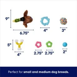 Frisco Forest Friends Plush, Rope & TPR Variety Pack Dog Toy 9 Frisco Forest Friends Plush, Rope & TPR Variety Pack Dog Toy -Frisco 843534 PT2. AC SS1800 V1693411070