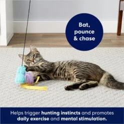 Frisco Squirrel Plush Cat Toy With Refillable Catnip & Frisco Bird With Feathers Teaser Wand Cat Toy With Catnip 19 Frisco Squirrel Plush Cat Toy With Refillable Catnip & Frisco Bird With Feathers Teaser Wand Cat Toy With Catnip -Frisco 962030 PT8. AC SS1800 V1694783953